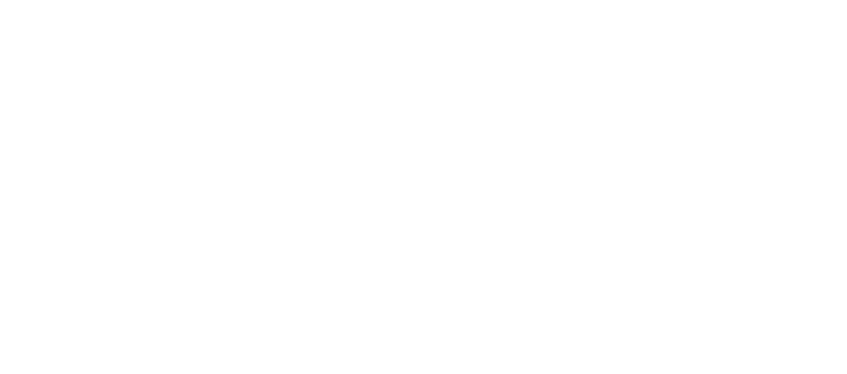 Rice Student Venture Fund